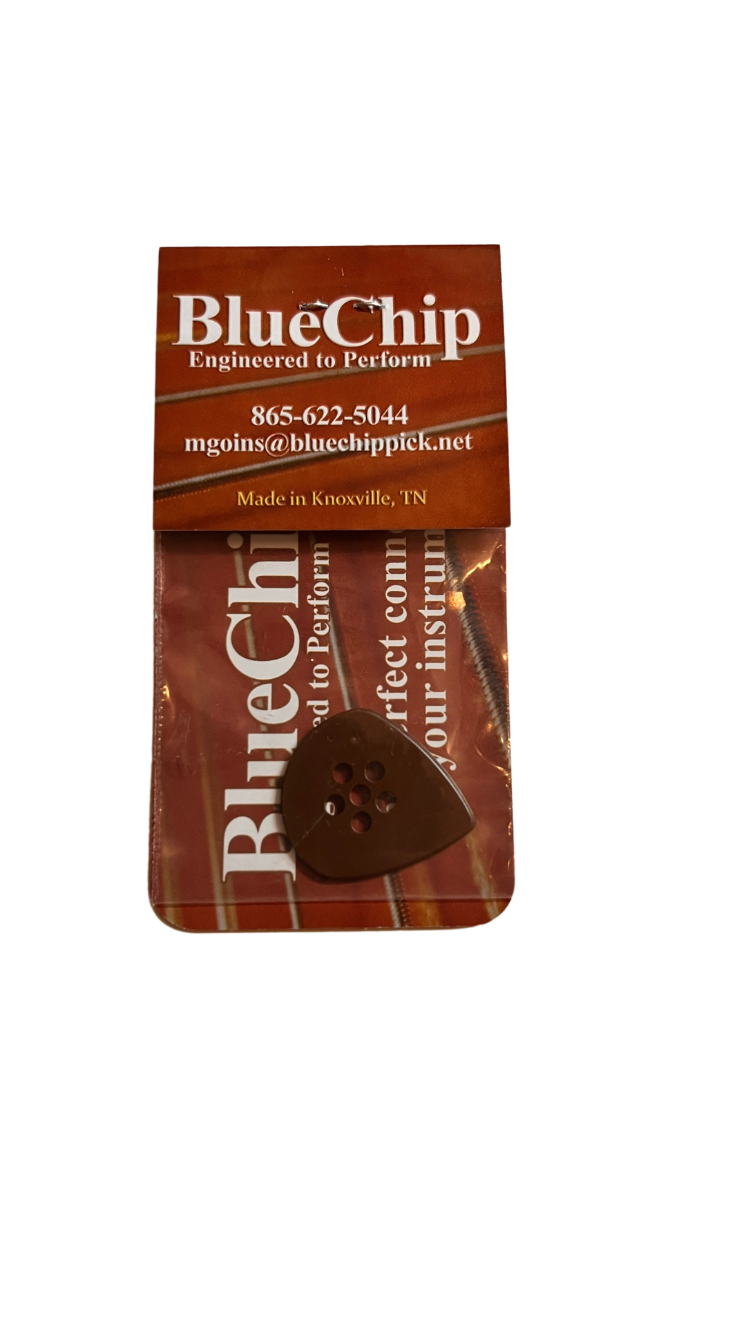 Blue Chip Picks IBJ55