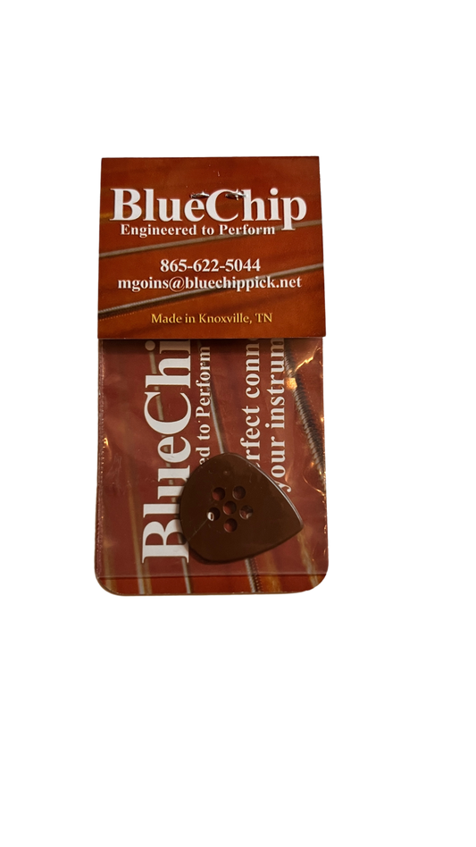 Blue Chip Picks IBJ55