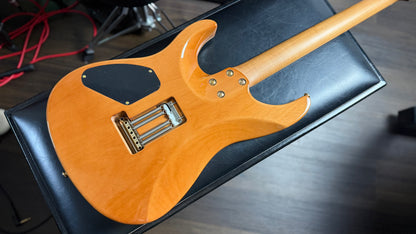 Gilmour Guitars Korea Custom ShopSARK 25.5 Grey Gradient